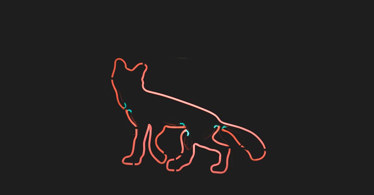 Top Materials for Durable Business Branding Signage